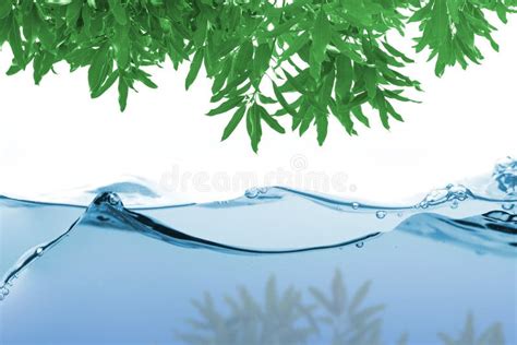 Green Water Ripple Stock Photo Image Of Green Cool 13607384