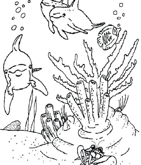 Desert Habitat Coloring Pages At Free