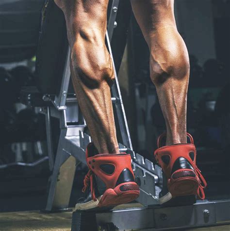 Build Massive Calves With These Workouts Calf Exercises Best Calf