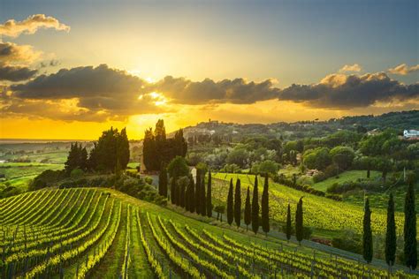 Toscana Il Mondo Del Vino Non Resta Mai Fermo Italia A Tavola