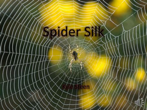 Ppt Spider Silk Powerpoint Presentation Free Download Id1604527