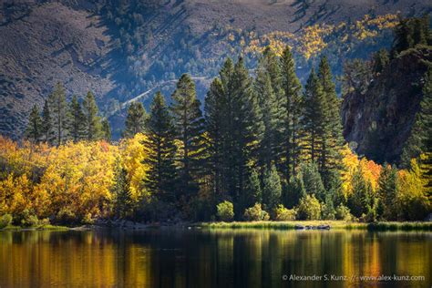 Bishop Canyon Fall Colors Alexander S Kunz Photography
