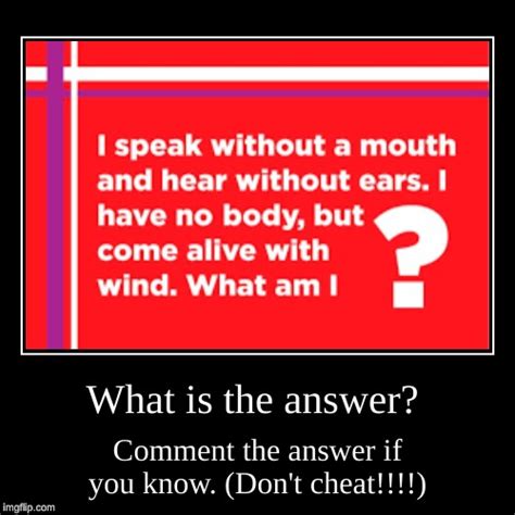 What Is The Answer Imgflip