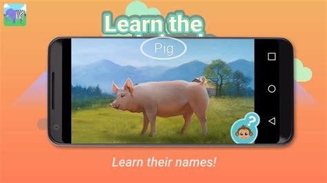Learn The Animals App For Android Youtube