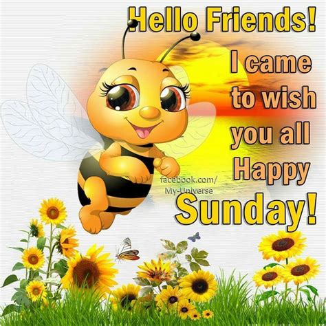 Hello Friends I Came To Wish You All Happy Sunday Pictures Photos