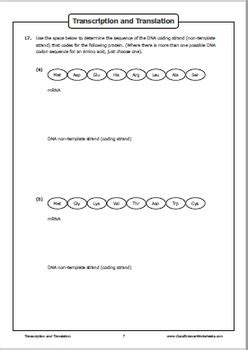 #2 a c t dna: Transcription and Translation by Good Science Worksheets | TpT