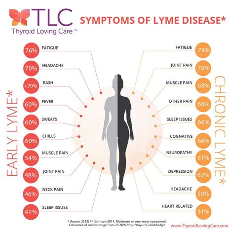 Ick A Tick Connections Between Lyme Disease And Hashimotos You Need