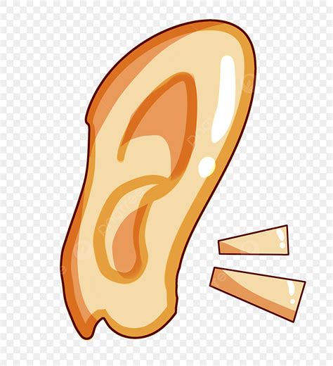 Big Ear Clipart Transparent Background Big Human Organ Ear