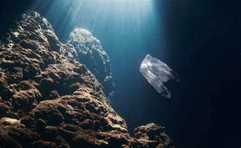 Ocean Plastics Are A Fascinating New Species In This Eerie Short Film