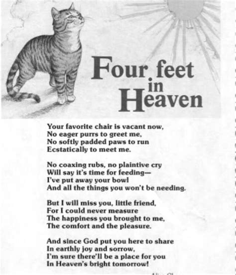 Four Feet In Heaven Cat Poem Catsxd