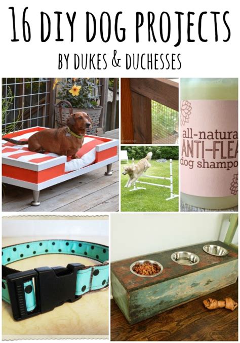 16 Diy Dog Projects Dukes And Duchesses