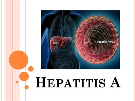 Ppt Hepatitis A Powerpoint Presentation Free Download Id