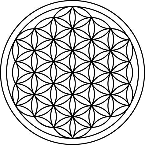 Flower Of Life Sacred Geometry Png Picpng