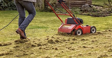 Sep 06, 2016 · compare this to the drop rate of your broadcast or hand spreader to ensure you lay down the right amount of seed. How to Dethatch a Lawn - The Simple Solution to Healthy, Dethatched Grass