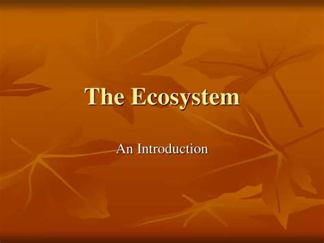 Ppt The Ecosystem Powerpoint Presentation Free Download Id2257834