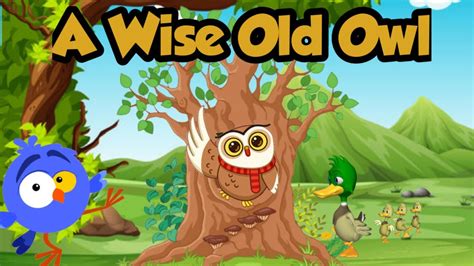 A Wise Old Owlnursery Rhymesenglish Rhymeskids Songskids Rhymes