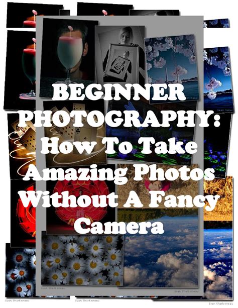 Beginner Photography How To Take Amazing Photos Without A Fancy Camera