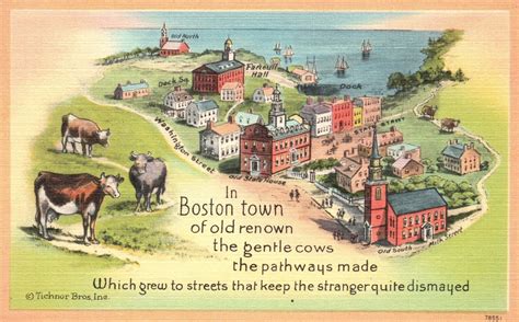 Vintage Postcard Boston Streets Old Renown Gentle Cows Pathways