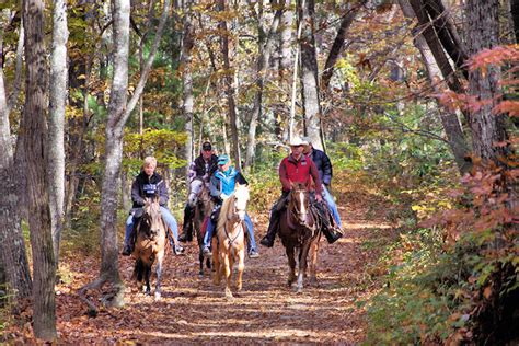 Asheville Horseback Riding And Trails
