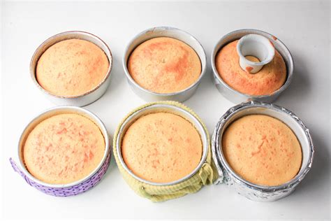 How To Bake A Flat Cake 5 Methods Put To The Test Craftsy