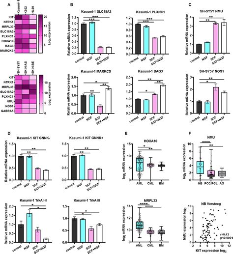 Frontiers Two Receptors Two Isoforms Two Cancers Comprehensive