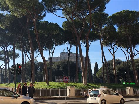 Signature Umbrella Pine Trees In Villa Borghese Gardens Rome Italy