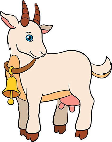 Best Nanny Goat Illustrations Royalty Free Vector