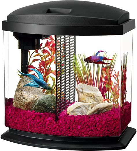 Aqueon Led Minibow Aquarium Starter Kits With Led Lighting In 2020