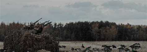 Five Steps To Successful Duck Hunting