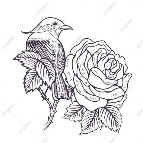 Rose Tattoo Drawing Png Vector Psd And Clipart With Transparent
