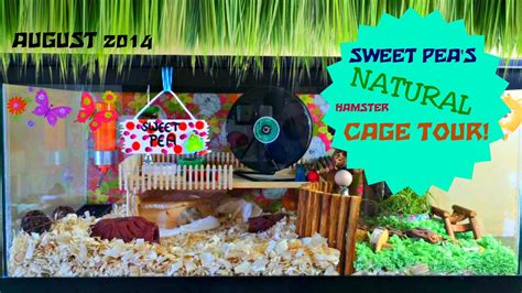 Sweet Peas Natural Hamster Cage Tour August 2014 Pet Rodents