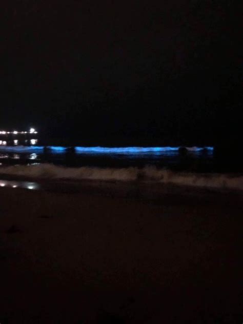 Glowing Blue Waves Hit Southland Beaches Thanks To Algae Bloom