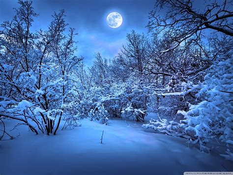 Winter Moonlight Moonlight Snow Winter Blue Hd Wallpaper Peakpx