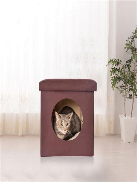 Warm Kitten Bed Cat Hut With Pet Bed Curious Cat Cube Cat Housecat
