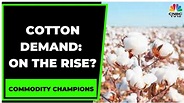 Cotton Demand: On The Rise? Key Headwinds Of Cotton Trade | Commodity ...