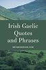 Irish Gaelic Quotes and Phrases For Tattoos, Instagram, or Inspiration