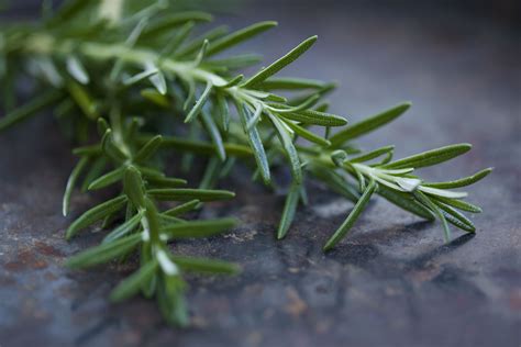 The History Of Rosemary As Food