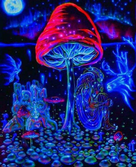 Pin By Jean Elliott On Mushroom Symbols Psychedelic Art Mushroom Art