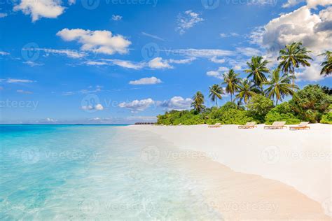Beach Nature Concept Palm Beach In Tropical Idyllic Paradise Island