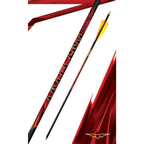 Black Eagle Outlaw Feather Fletched Arrows 500 6 Pk Antler River
