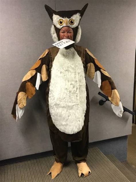 Owl Costume For Adults