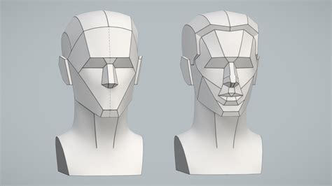 Basic And Secondary Planes Of The Head A Loomis Download Free 3d