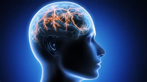 Épilepsie Quelles Origines Quels Traitements Allodocteurs