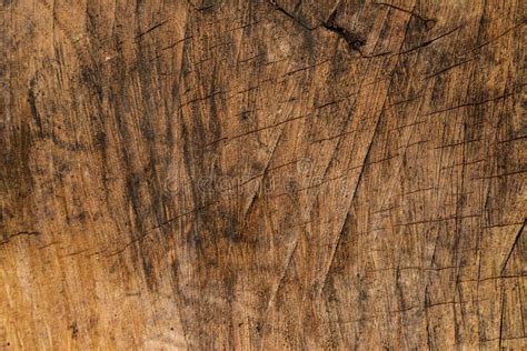 Wood Texture Of Rip Cut Log Stock Image Image Of Texture Material