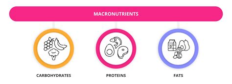 Both micronutrients and macronutrients are essential building blocks of our health: What Are Macronutrients And Micronutrients | GetSmarter Blog