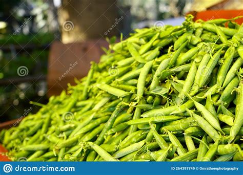 Green Peas Selling In Indian Local Market Or Street Indian Fresh And