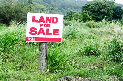 Land For Sale Stock Photos Pictures And Royalty Free Images Istock