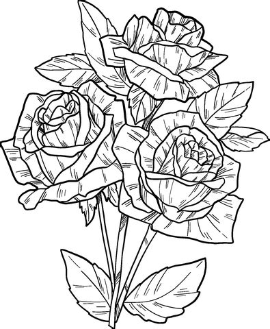 Free Printable Rose Coloring Pages Printable Templates