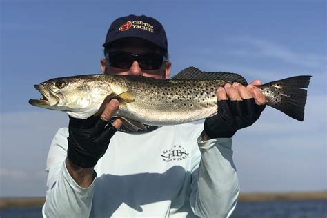 Charleston Fishing The Complete Guide