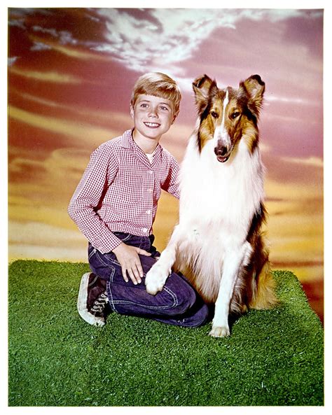 ‘lassie’ Star Jon Provost Says Timmy Was Never Trapped In A Well ‘we Just Don’t Know Where That